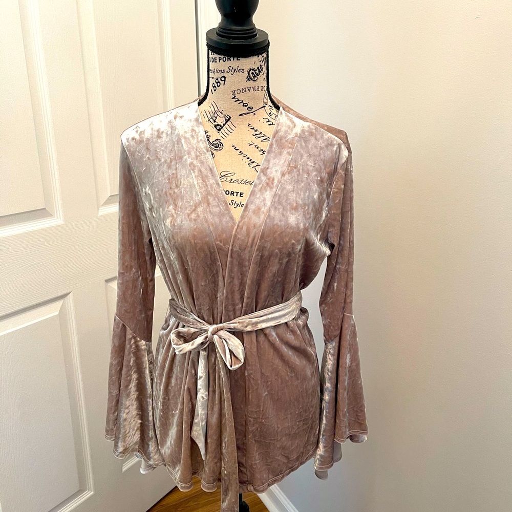 Fashion nova crush Velvet wrap top